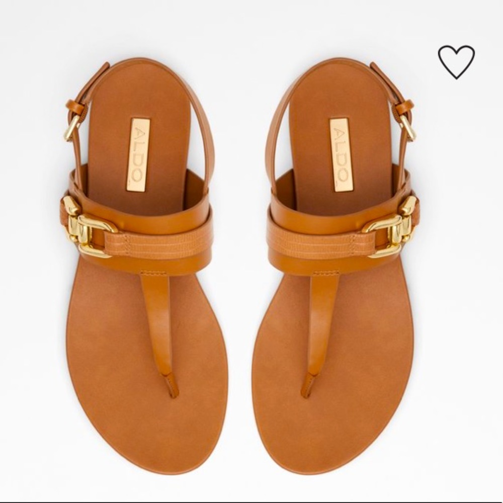 Aldo Thong Sandal with gold buckle detail